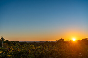 The sun sets low on the horizon, casting a golden glow over a flat vista with silhouetted foliage in the foreground