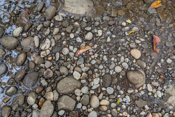 Moanalua Valley Trail , Honolulu, Oahu, Hawaii. Moanalua Stream. Older alluvium. Sand and gravel	