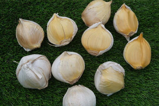 Solo garlic cloves scattered on green grass