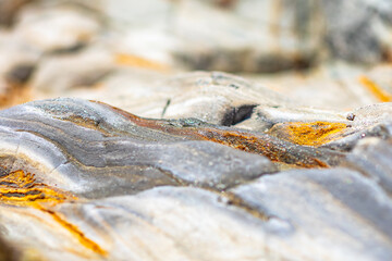 Abstract background of an orange and grey rocky surface, macro

