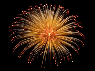 Vibrant fireworks lighting up the night sky with colorful bursts and streaks. Celebration and festivity scene.