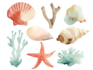 Obraz premium Watercolor sea life collection shells starfish and coral elements