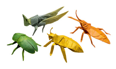 Colorful Set of Origami Insects for Kids Learning Fun and Creativity Isolate on Transparent Background, png