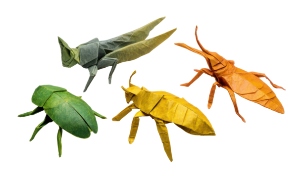 Colorful Set of Origami Insects for Kids Learning Fun and Creativity Isolate on Transparent Background, png