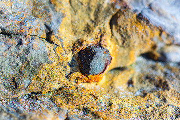 Abstract background of a stone on a rock covered with yellow moss, macro.
