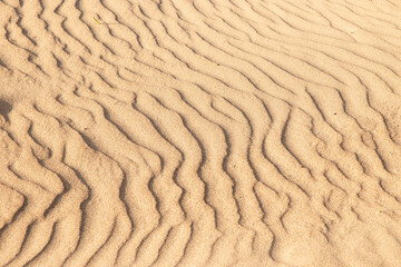 Vaguelettes dans le sable formées par le vent, format horizontal