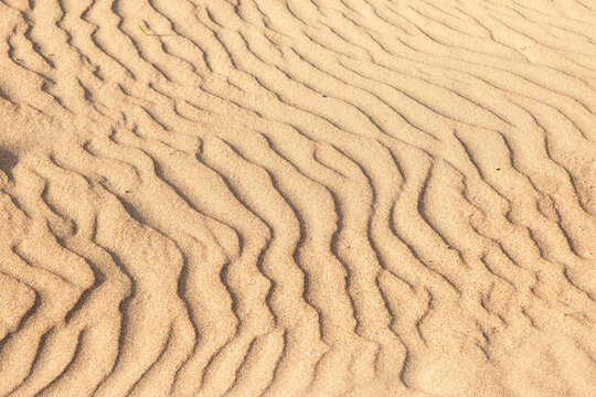 Vaguelettes dans le sable form&eacute;es par le vent, format horizontal