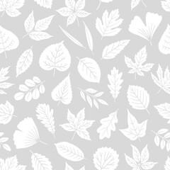 Seamless pattern with white silhouette leaves on gray background. Texture leaf of maple, oak, linden, aspen, ginkgo, and others. Print for textile, package, and wrapping paper. Vector illustration
