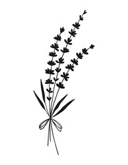 Bouquet of silhouettes of lavender flowers, black color. Hand drawn floral shapes, meadow herbs, and wild plants for design projects. Vector illustration