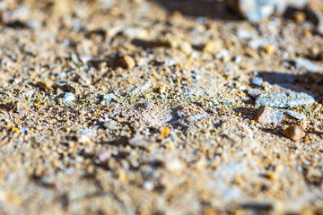 Abstract background of a surface with rocks, macro
