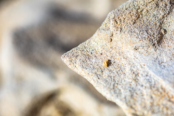 Abstract background of a corner of a cliff, macro
