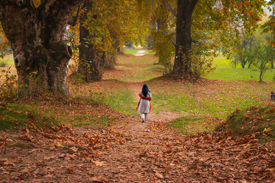 A lady walking through Chinar Trees in Nishat garden Kashmir.