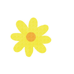 yellow flower on white background