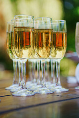 Cheers at an outdoor celebration with sparkling drinks!