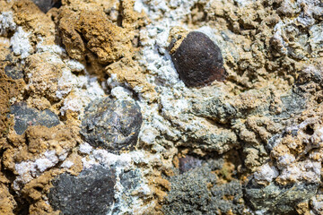 Abstract background of a yellow and grey surface with stones and fossils
