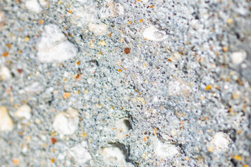 The surface of the rock with gray stones, macro.

