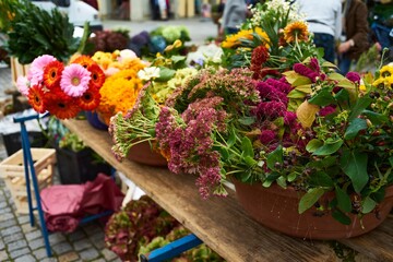 Market stall with a variety of flowers and plants for sale.