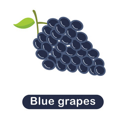 Set of fruits and vegetables. Different colorful vegetables and fruits. All kinds of green vegetable and fruit 