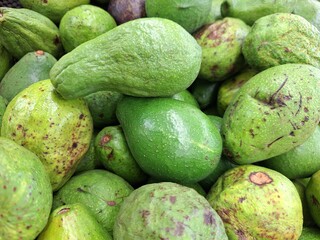 green avocado displayed on a market