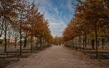 The Luxembourg Gardens in Paris, admiring autumn in park. High quality photo