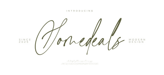 Hand drawn vector alphabet. Modern monoline signature script font. Elegant Signature Font. Best Alphabet Beautiful Calligraphy Signature Font lettering