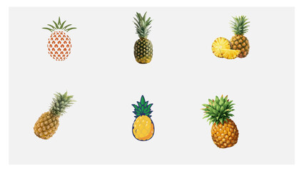 Variegated Pineapple vector