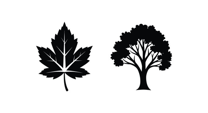Black silhouettes of a maple leaf and a deciduous tree on a white background, representing nature and foliage.
