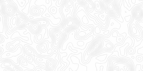 Fototapeta premium Minimal white line geometric grid outline curve counter map and wavy topography relief discovery area white, black line texture background. 