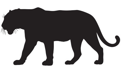 Black panther walking silhouette