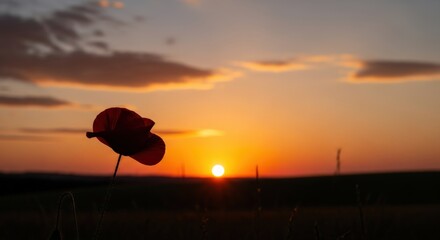 Describe the main subject (flower and sunset), including the flower's