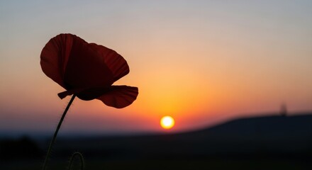 Describe the main subject (flower, place, person, or animal), including