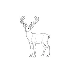 Fototapeta premium Deer with antlers separated on white background