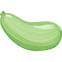 A Light Green Zucchini Vegetable Isolated on a Transparent Background Healthy Food Ingredient For Cooking And Nutrition