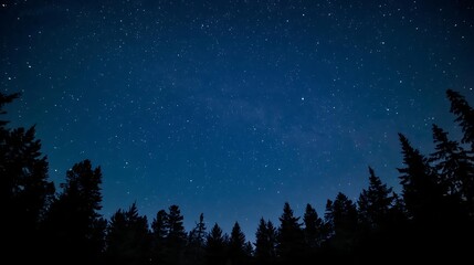 Fototapeta premium night sky with stars