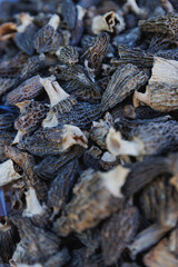 Dried wild edible mushroom Morchella
