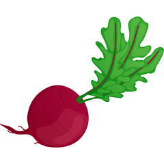 A Single Radish Vegetable With Green Leaves Isolated On A Transparent Background In Flat Design Style