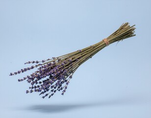 Floating Bundle of Dried Lavender Flowers on Light Blue Background