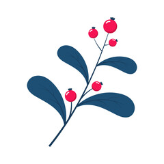Red berries. Winter plant. Winter branches and leaves. Winter floral elements. Holiday decoration. Vector illustration