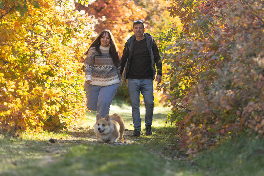 A young couple in love walks through the park with their pet. The lovers enjoy the golden autumn scenery.