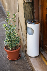 potted plant next to white outdoor ashtray by doorway