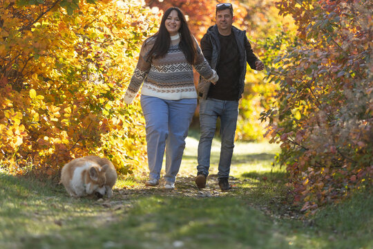 A young couple in love walks through the park with their pet. The lovers enjoy the golden autumn scenery.