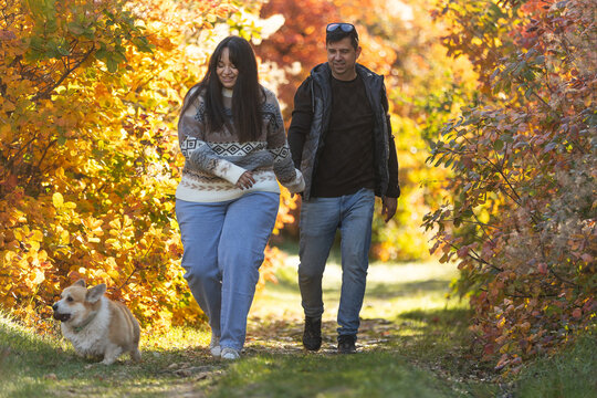 A young couple in love walks through the park with their pet. The lovers enjoy the golden autumn scenery.