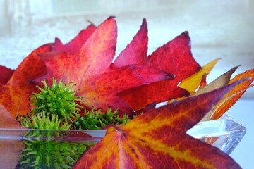 Still mit Herbstlaub