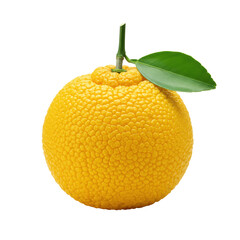 A single vibrant yellow yuzu fruit with textured peel, green stem and leaf, extreme close-up on a transparent studio background, concept of natural freshness.