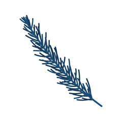 Branch of pine. Winter plant. Winter branches and leaves. Winter floral elements. Holiday decoration. Vector illustration