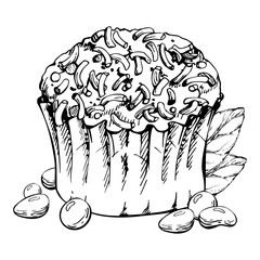 Muffin pastry in parchment condiment cup, sugar sprinkles icing atop cupcake with mint sprigs and candy dragee bonbons. Hand drawn isolated vector ink artwork. Culinary borders, party menu designs.