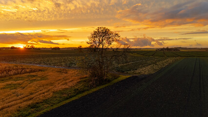 Lincolnshire sunset, farmland. Bright sun sets over green field, trees. Golden hour, warm light. Rural countryside landscape, scenic nature. English farming community. Tranquil. Yellow sky, orange.