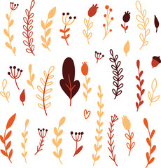 Fall vector illustration of hand drawn autumn leaves, branches and floral elements in warm seasonal tones isolated