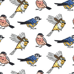 Pattern color with hand-drawn small wild birds with a black outline. Various poses. Repetitive texture with small fluffy birds, sparrows, and titmice for fabric, textile, and packaging design