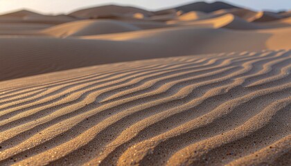 sand dunes in the desert